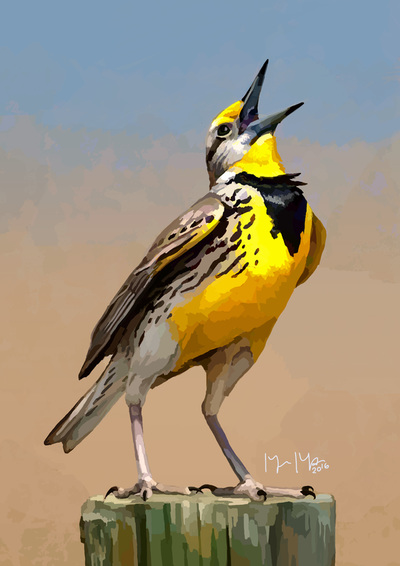 Digital portrait of an Eastern Meadowlark by the artist Megan Massa.